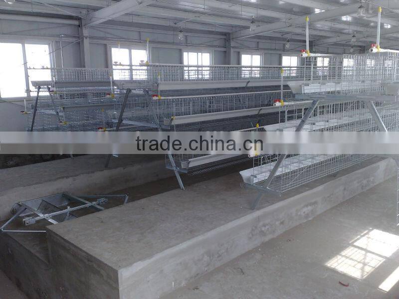 9WCD 4 Tiers A-Type Hot Galvanized Hot Sale Chicken Coop