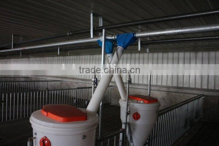 automatic feeding system for pig farm