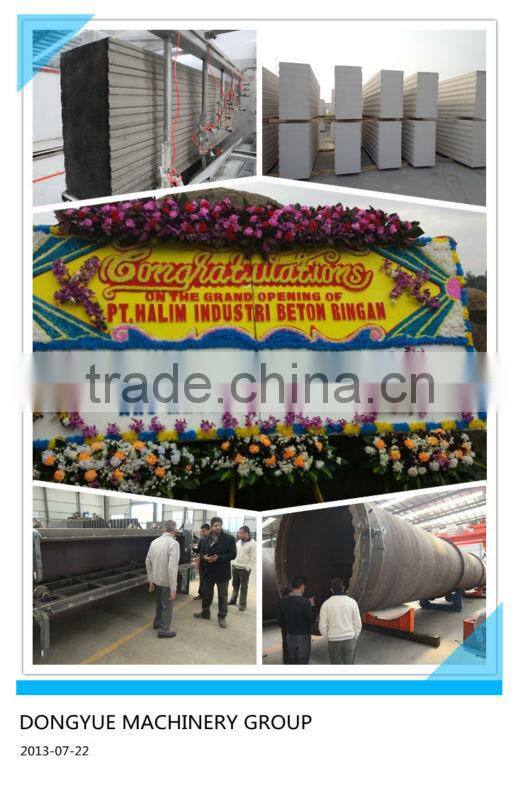 small capacity 50 to 60 cubicmeters AAC panel making machinery