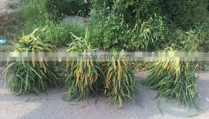 Best wheat rice reaper binder price