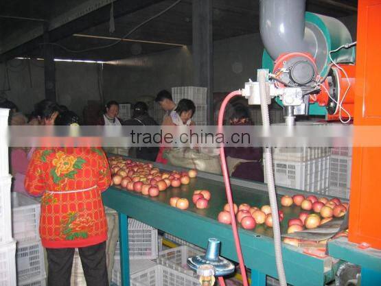 fruit and vegetable washing and drying machine
