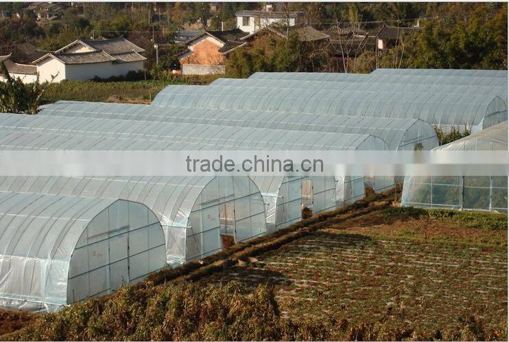 Plastic film greenhosue for agricultural price