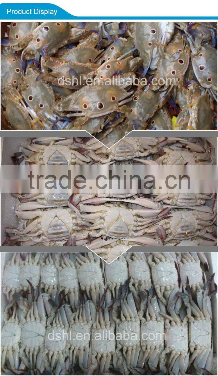 Frozen whole crab seafood