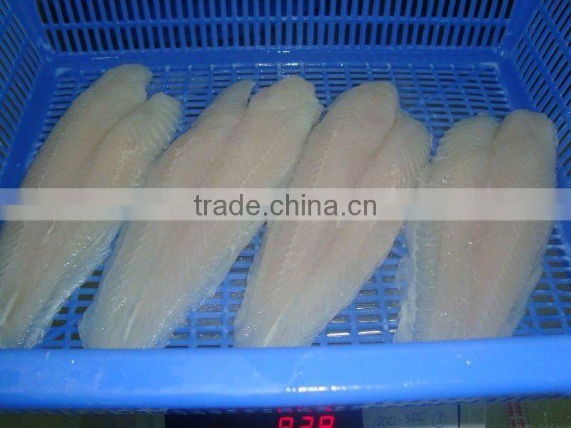 FRESH FROZEN WELL TRIMMED PANGASIUS WHITE FILLET OF ALO SEAFOOD CO.,