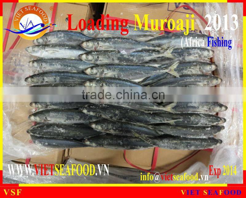 LOADING MUROAJI FOR TUNA BAIT