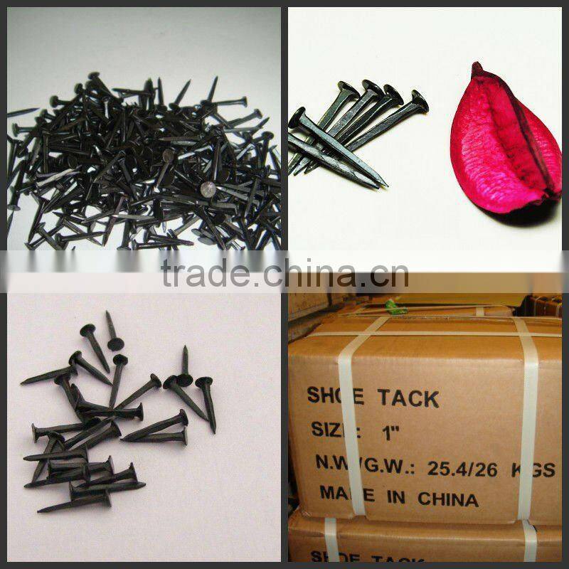 Black Shoe Tack Nail From China Manufacture