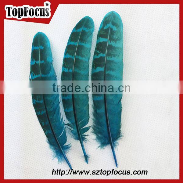 natural ringneck rounds cheap dyed pheasant feathers sale