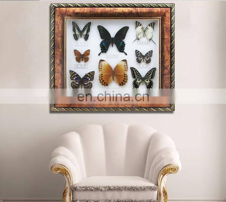 butterfly in wooden frame for collection and gifts