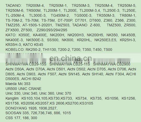 SS1926 SS1936 SS2527 truck crane slewing bearing