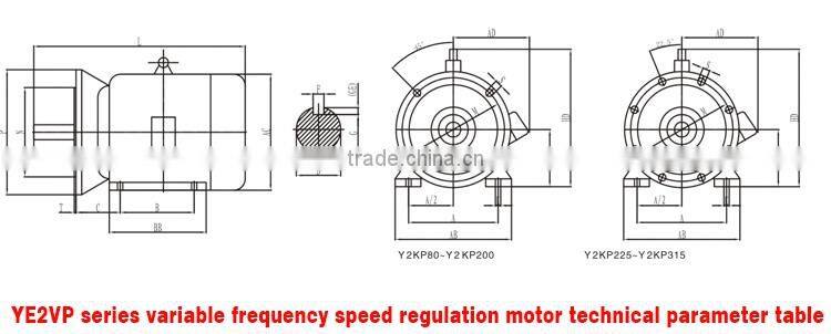 18.5kw 6 pole YVP series frequency variable motor