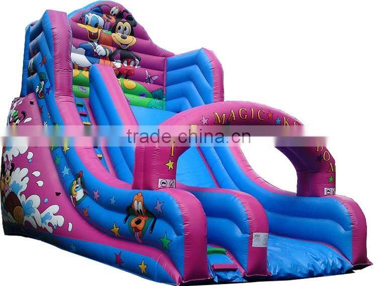 the magic kingdom giant inflatable slide for children, cartoon themed inflatable castle slide for sale
