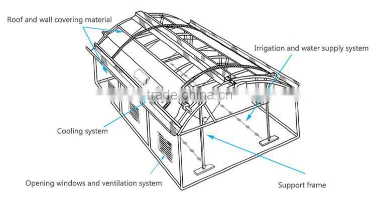 Low cost muti-span PVC/PE/Plastic greenhouse for flower/vegetable growing