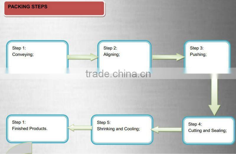 YK-L6030+YK-LS6040 Fully-auto Sleeve Sealer&Shrink Wrapping Machine