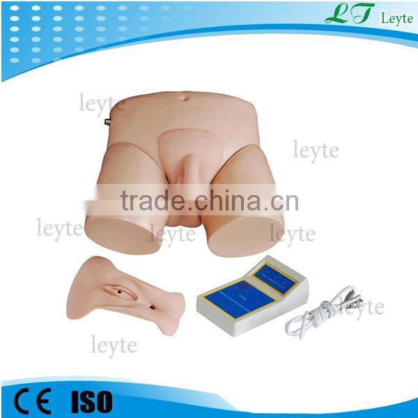 XC-408 Electronic Urinary Model for sale