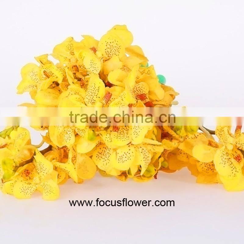 Natural Plants Fresh Cut Yellow Orchid Thailand For Party