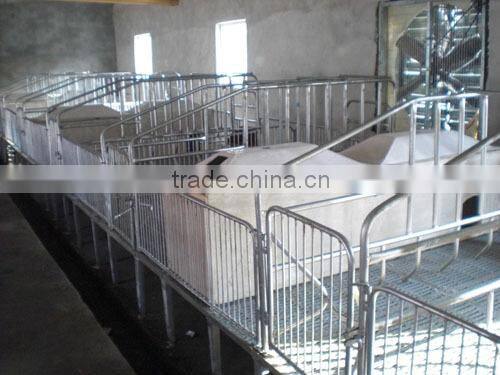 sows cage farming equipment cage hot sale