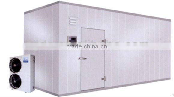 Modular cold storage with polyurethane insulated