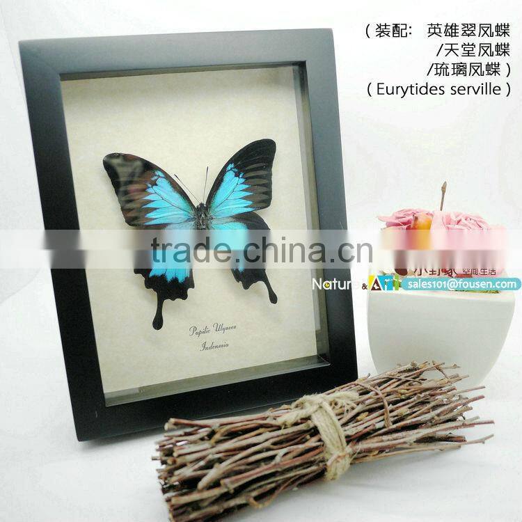 FOUSEN(017) Nature& Art preserved natural decorations home and garden