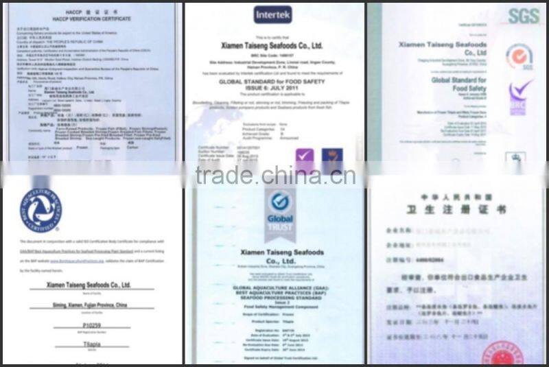 Supply Frozen Golden Pompano with all size