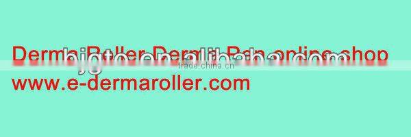 GTO540 Stainless steel/Needle length:0.2/0.25/0/3/0.5/1.0/1.5/2.0/2.5/3.0mm/CE Marked