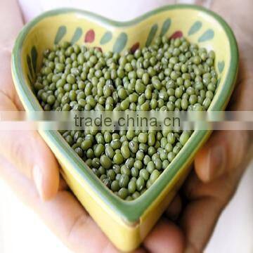 all size Green Mung beans 2010 crop