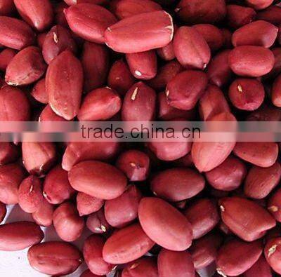china good quality peanut in kernel for export
