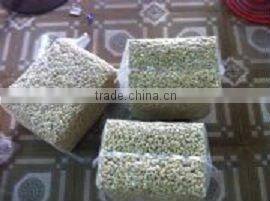 CASHEW NUT SW320, LBW320, DW