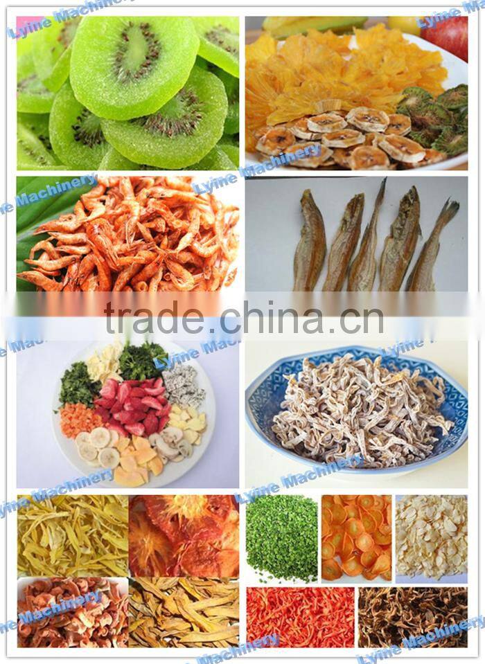 Lyine commerial fruit potato chips dryer machine