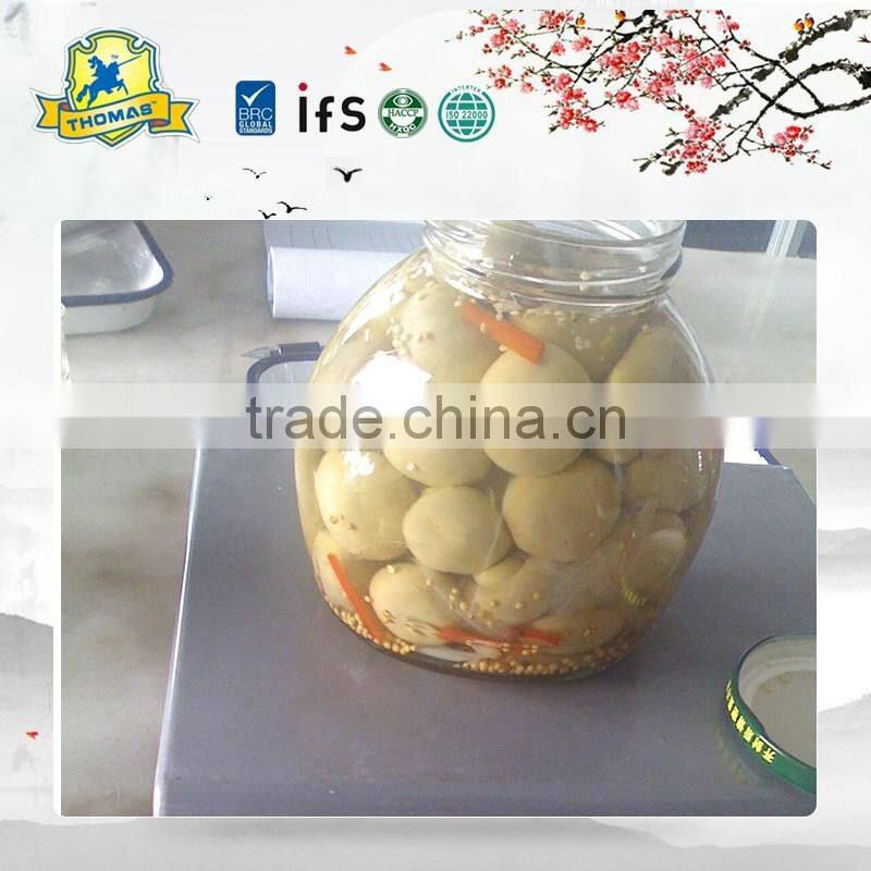 Top Quality Fresh Whole Canned Button Mushroom