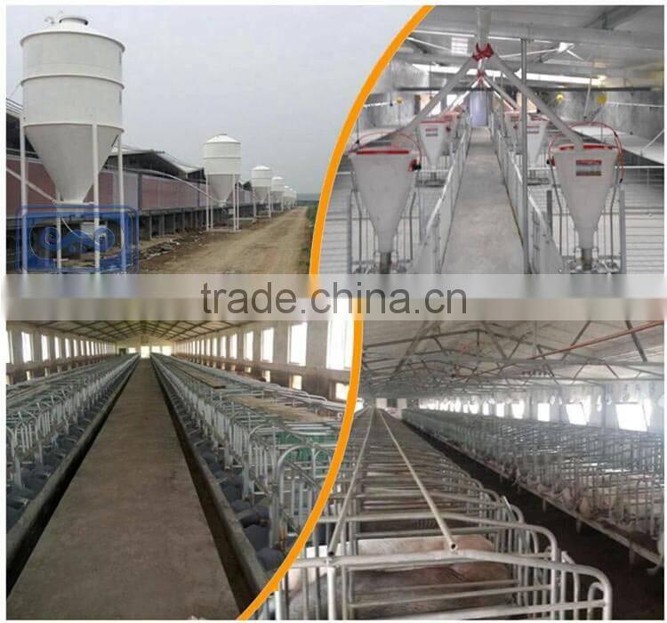 Pig automatic water level controller