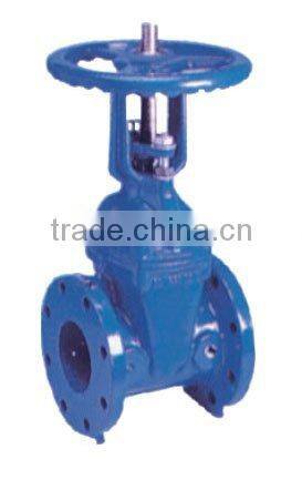 Resilient seated gate valve