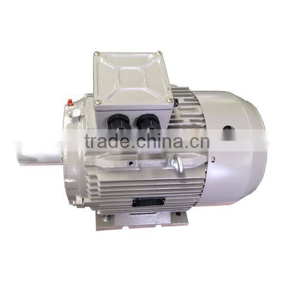 IEC Standard Small 3 Phase Electric Motor