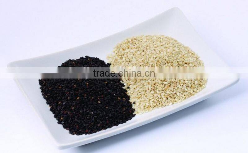 Competitive price sesame seeds oil expeller with cold and hot pressing