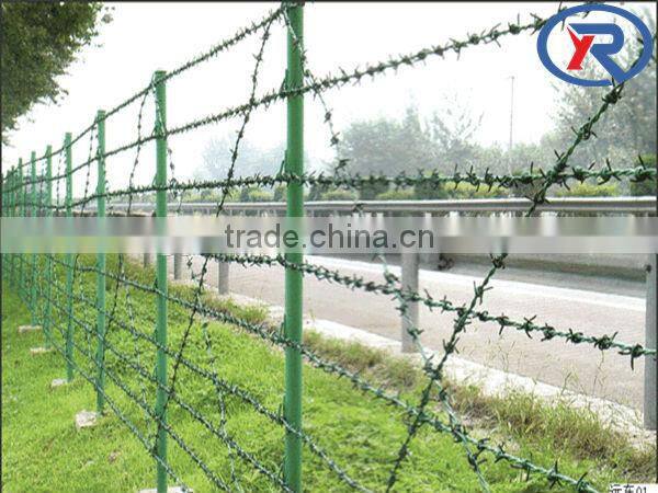 cheap price hot dipped galvanized tube/pipe made in china
