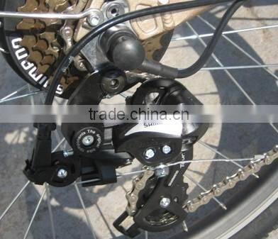 250W rear motor,36V10A Lithium battery,Sinwave controller,LED display CE woman electric bicycle/bike