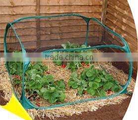 PE vegetable/tomato/potato planter
