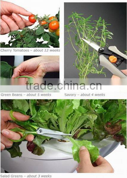 Mini farm smart farm smart mini garden