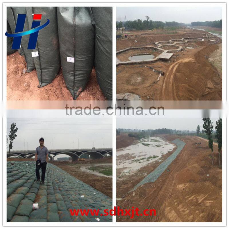 Flood control geobag