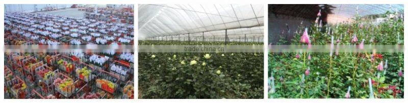 Artificial Easter Double Llily Flower