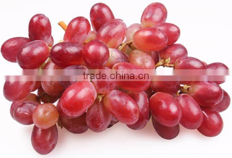 Quality and Fresh Chinese Grapes