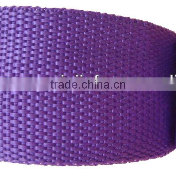 2016 Fashion PP Webbing Band