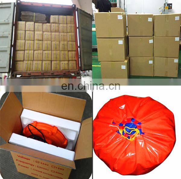 Ningbang hot sale giant inflatable zenith dragon blue color,pvc inflatable toy