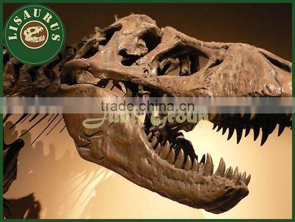 JLDF-0499 make dinosaur bones skulls skeleton manufacturer