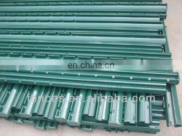 Raspberry Trellis Systems Plantations Vine Plants Trellis Post