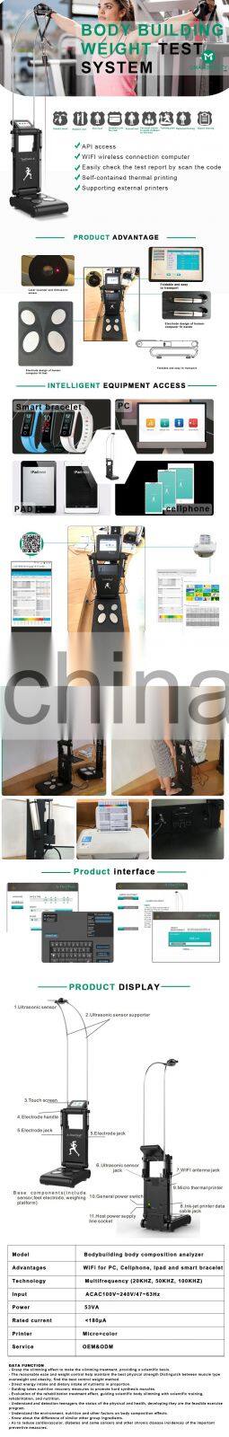 BMI 3D Digital Scan Body fat Heart Rate Oxygen Body Composition Analyzer for beauty salon/gym/clinic