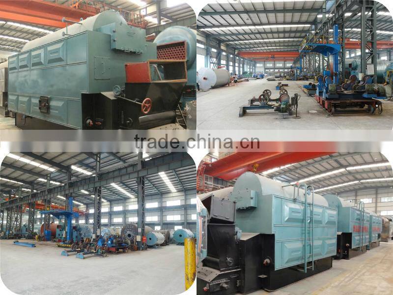 Hot Sale Chain Grate Biomass Fired Steam Boiler