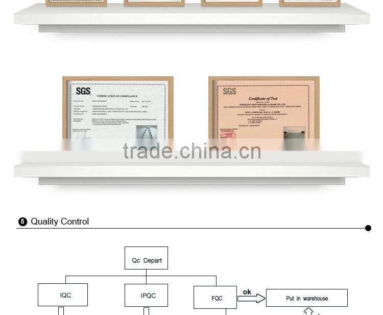 Little Giant agility ladder