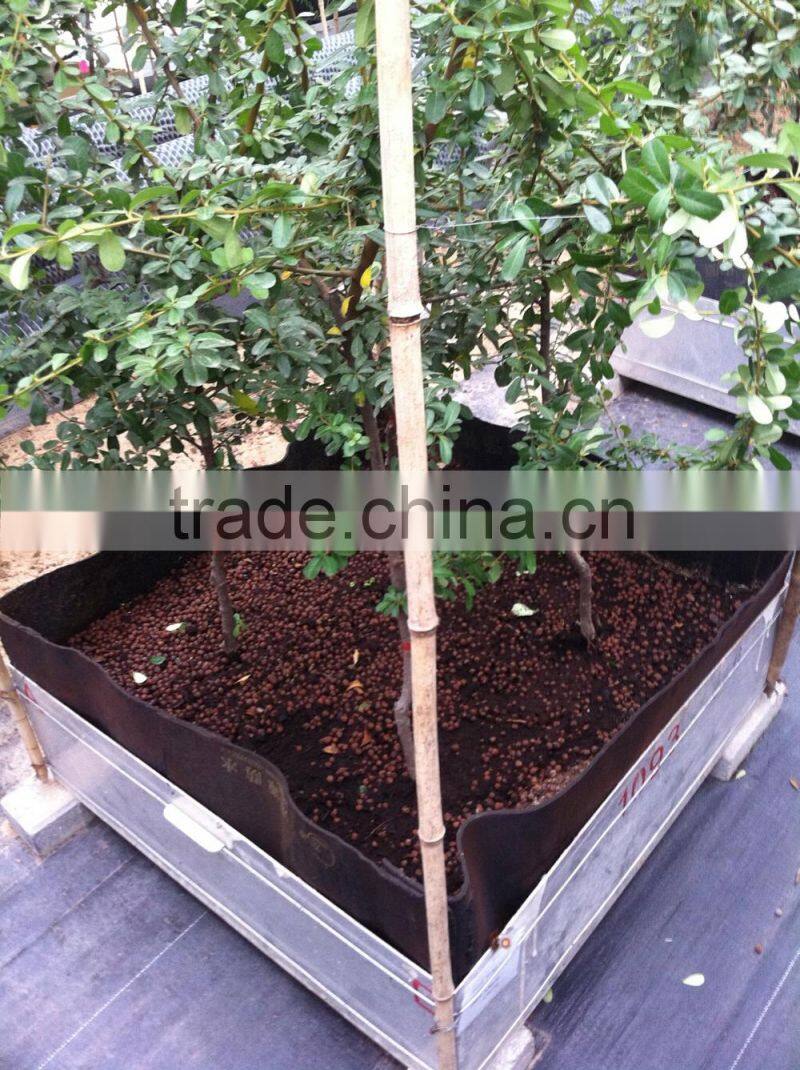 root peneration resistance sbs-modified asphalt waterproof membrane with polyester reinforcement