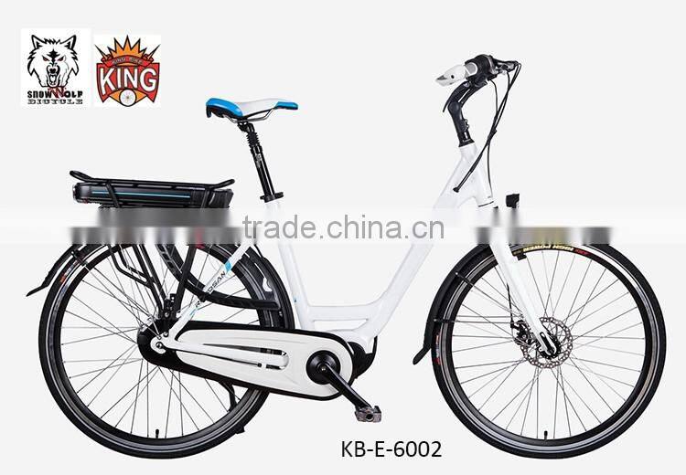 Best selling 250w 26 inch 36v 2A adult electric bikes KB-E-6013