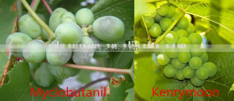 Bio organic fungicide Kenrymoon for powdery mildew, downy mildew, and etc.